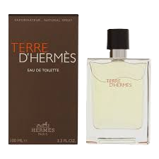 Hermès Terre d'Hermès Eau de Toilette 100ml